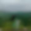 woman seeking men Barwani near me photo - Mahi