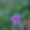 woman seeking men Anand near me photo - Pinu