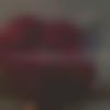 woman seeking men Hodal near me photo - Poonam