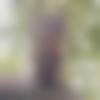 Male Photo - Nidheesh