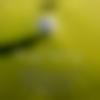 woman seeking men Dhamnod near me photo - Aisha