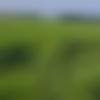 woman seeking men Madhepura near me photo - Dream