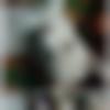 woman seeking men Guntakal near me photo - Sravani