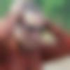 Matrimony Male Profile Nagpur