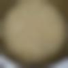 Male Photo - Sach