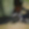 Male Photo - Amit