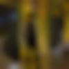 Single Male - Mazhar