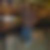 Single Male - Himanshu