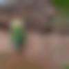 Male Photo - Yogit