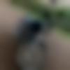 Single Male - Nipun