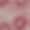 Sanskrit member profile Photo, Email, Address and Contact Details - Ashmi