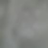 woman seeking men Dhule near me photo - Nypsi