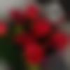Delhi single Female - Samayra