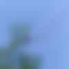 woman seeking men Chamba near me photo - Anjali