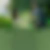 woman seeking men Siwan near me photo - Dipali