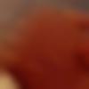 woman seeking men Kanker near me photo - Riya