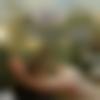 woman seeking men Jhajjar near me photo - Arti