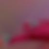 woman seeking men Ariyalur near me photo - Pooja