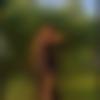 Single Female - Prathisha