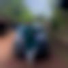 Chiplun Male, photo - Faizan