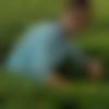 Male Photo - Mevergreen