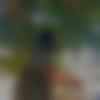 Male Photo - Charan