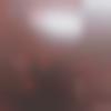 woman seeking men Chandrapur near me photo - Ashna