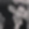 Single Male - Bhanu