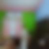 Matrimony Female Profile Assam