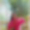 woman seeking men Agartala near me photo - Joyasmita
