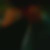 Tamil member profile Photo, Email, Address and Contact Details - Matt