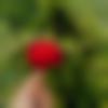 woman seeking men Abhanpur near me photo - Kajal