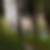 woman seeking men Namchi near me photo - Sanjana