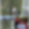 Coorgi Dating Male - Animesh