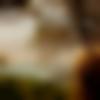 woman seeking men Cherthala near me photo - Sruthiii