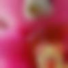woman seeking men Bahraich near me photo - ????