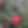 woman seeking men Bagula near me photo - Raya