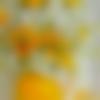 woman seeking men Badaun near me photo - Anitha