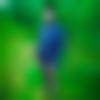 Single Male - Kishan
