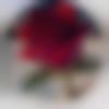 Male Photo - Amit