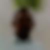 Thoothukudi Male, photo - Atony