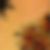woman seeking men Dhule near me photo - Nisha
