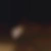 Tamil Nadu single Male - Surya