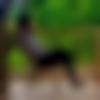 Matrimony Male Profile Bilaspur