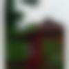 woman seeking men Belpahar near me photo - Annu