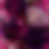Chhattisgarhi Ladies, Woman Seeking Men Photo - Smita