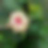 woman seeking men Abhanpur near me photo - Neha