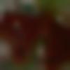 woman seeking men Digboi near me photo - Nobi
