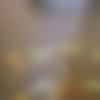 Single Male - Rajat