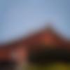 Arunachali Ladies, Woman Seeking Men Photo - Babli
